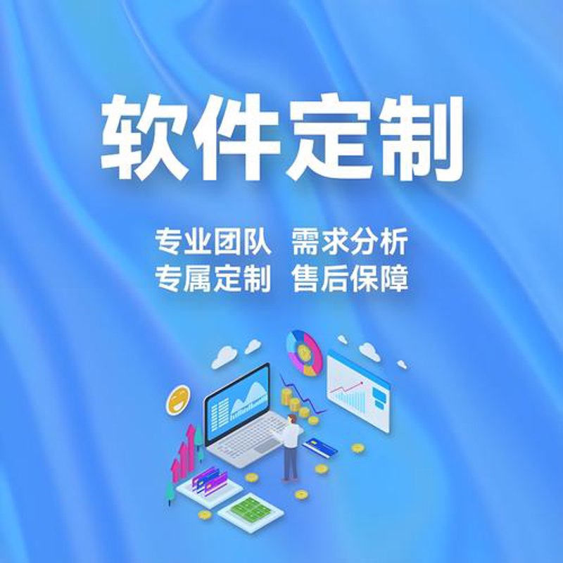 软件定制开发引领时代潮流